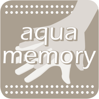 Aqua Memory Foam